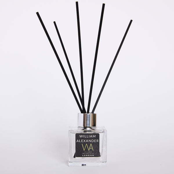 Silver Mountain - WILLIAM ALEXANDER