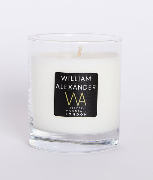 Silver Mountain - WILLIAM ALEXANDER