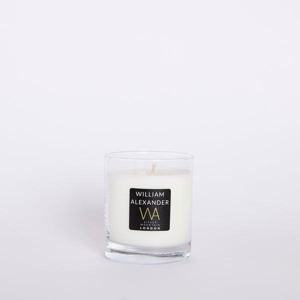 Silver Mountain - WILLIAM ALEXANDER