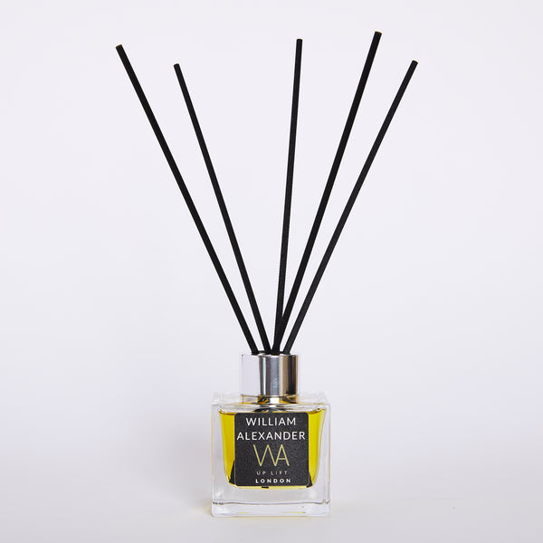 Up Lift - WILLIAM ALEXANDER