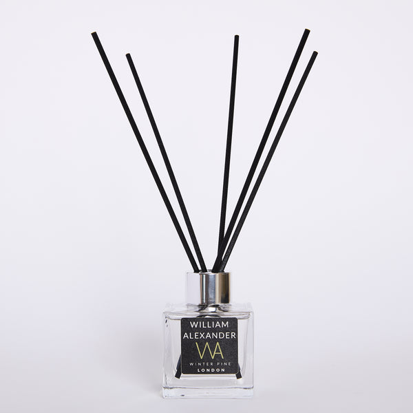 Winter Pine - WILLIAM ALEXANDER