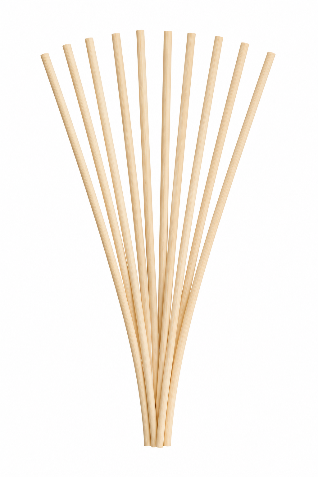 Reed Diffuser Sticks 10 Pack | William Alexander
